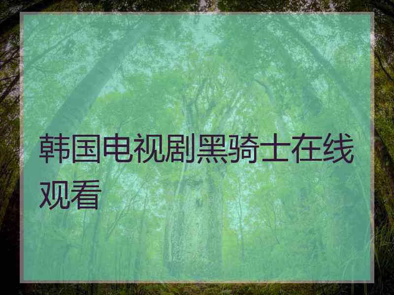 韩国电视剧黑骑士在线观看