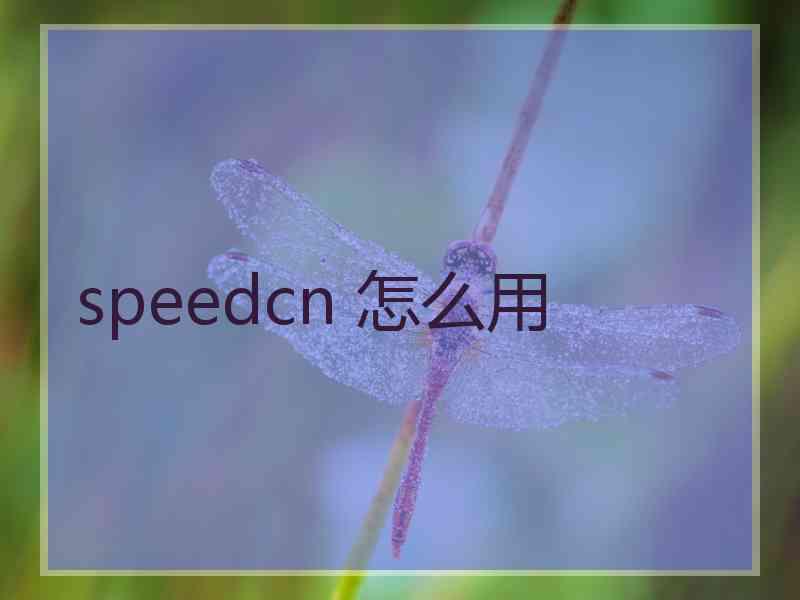 speedcn 怎么用