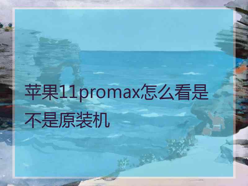 苹果11promax怎么看是不是原装机