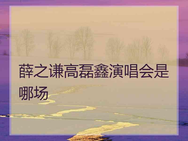 薛之谦高磊鑫演唱会是哪场