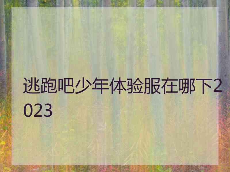 逃跑吧少年体验服在哪下2023