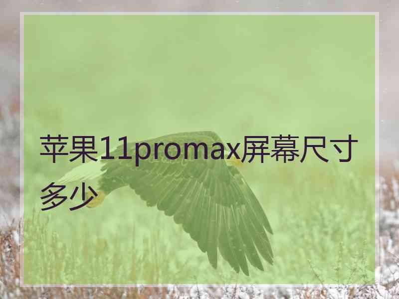 苹果11promax屏幕尺寸多少