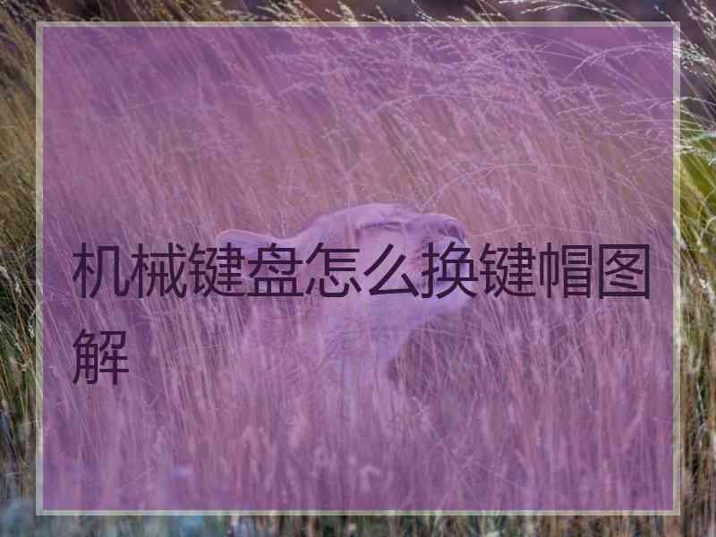 机械键盘怎么换键帽图解