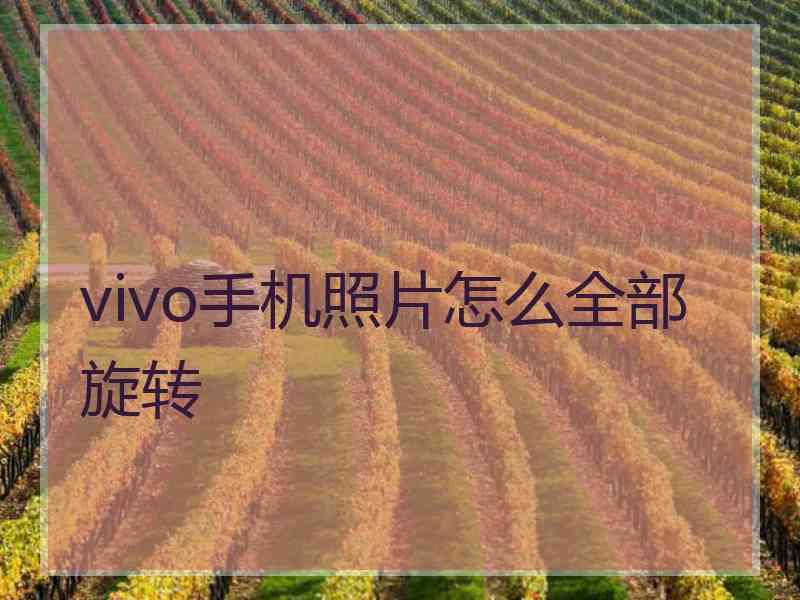 vivo手机照片怎么全部旋转