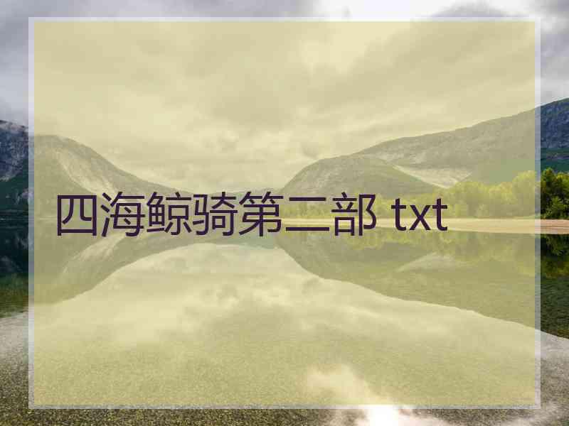 四海鲸骑第二部 txt