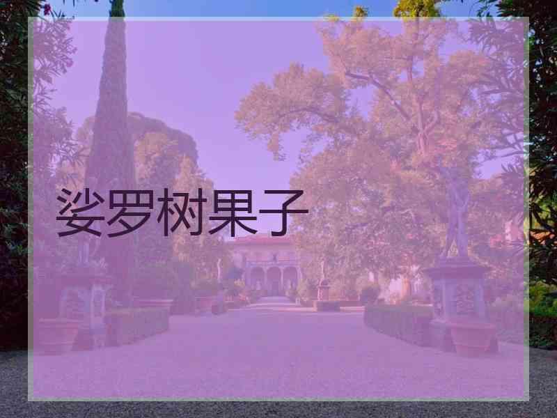 娑罗树果子