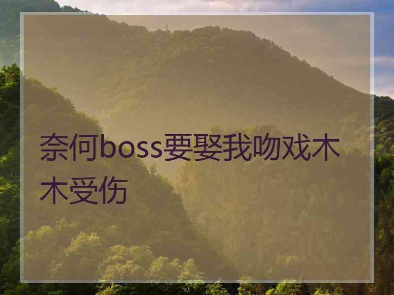 奈何boss要娶我吻戏木木受伤