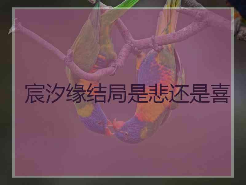 宸汐缘结局是悲还是喜