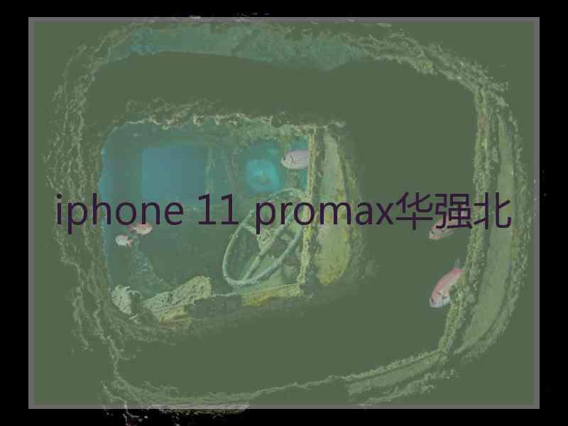 iphone 11 promax华强北