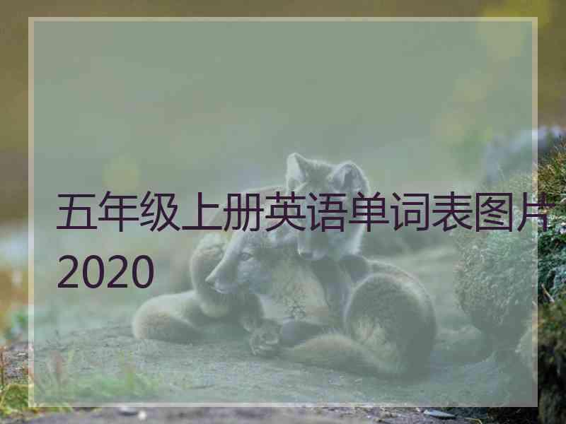 五年级上册英语单词表图片2020