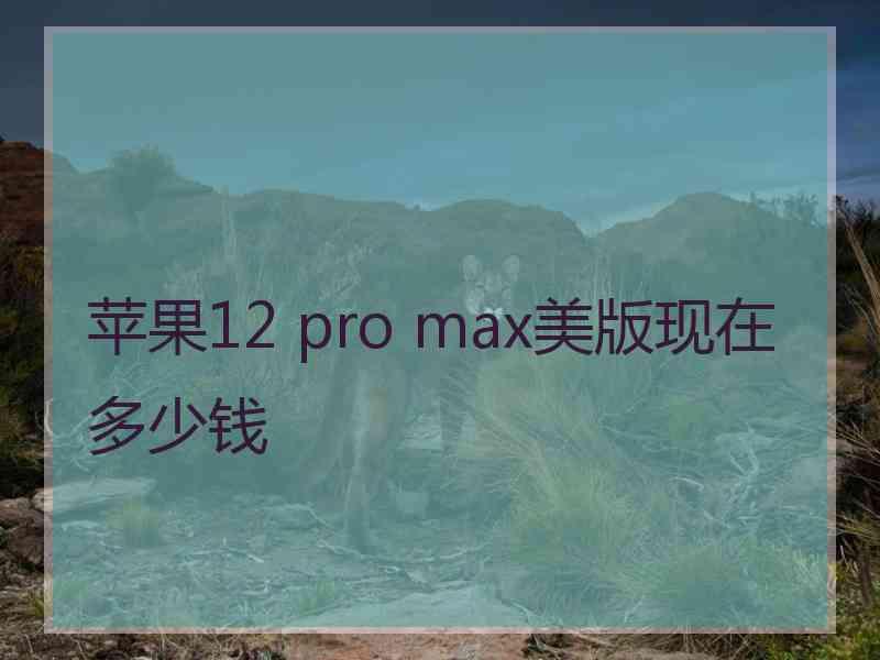 苹果12 pro max美版现在多少钱