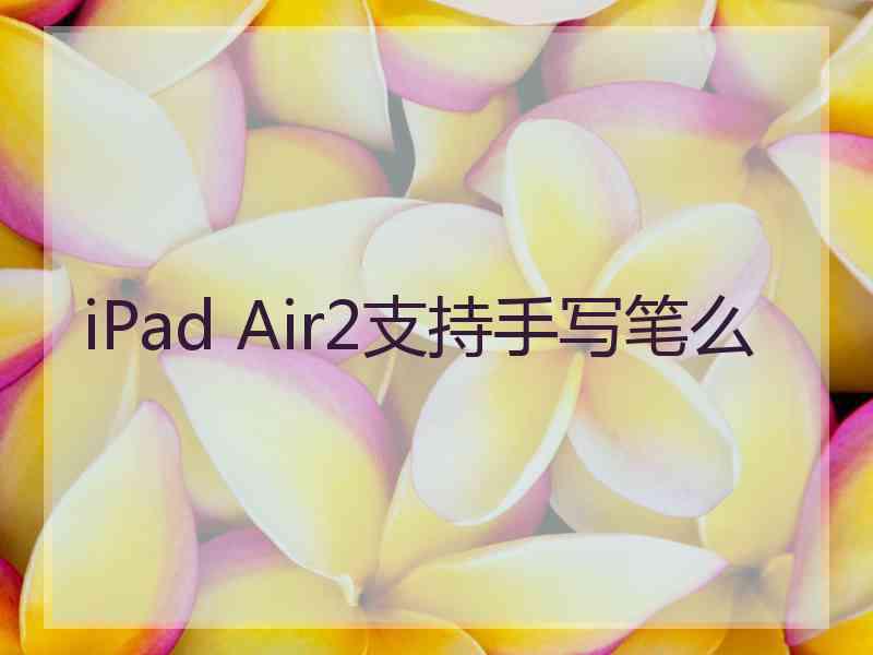 iPad Air2支持手写笔么