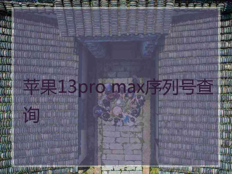 苹果13pro max序列号查询