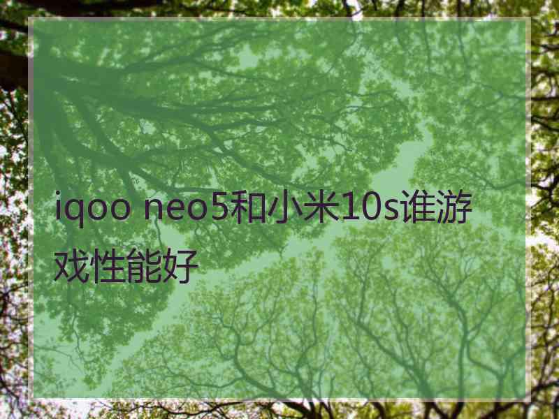 iqoo neo5和小米10s谁游戏性能好