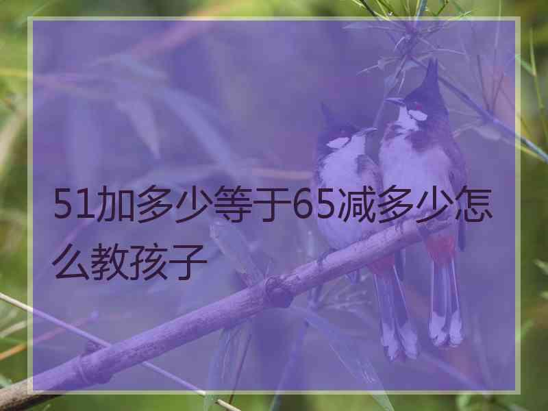 51加多少等于65减多少怎么教孩子