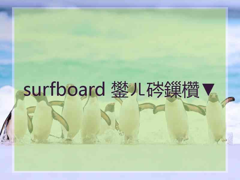 surfboard 鐢ㄦ硶鏁欑▼