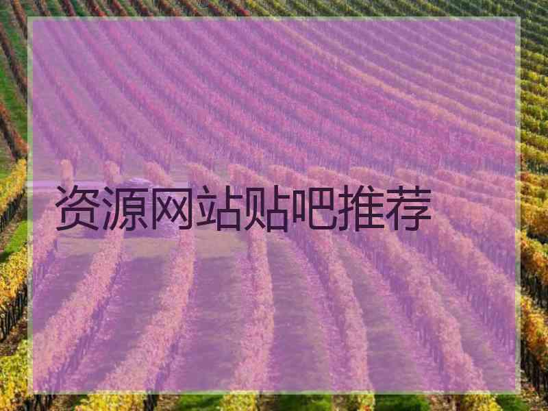 资源网站贴吧推荐