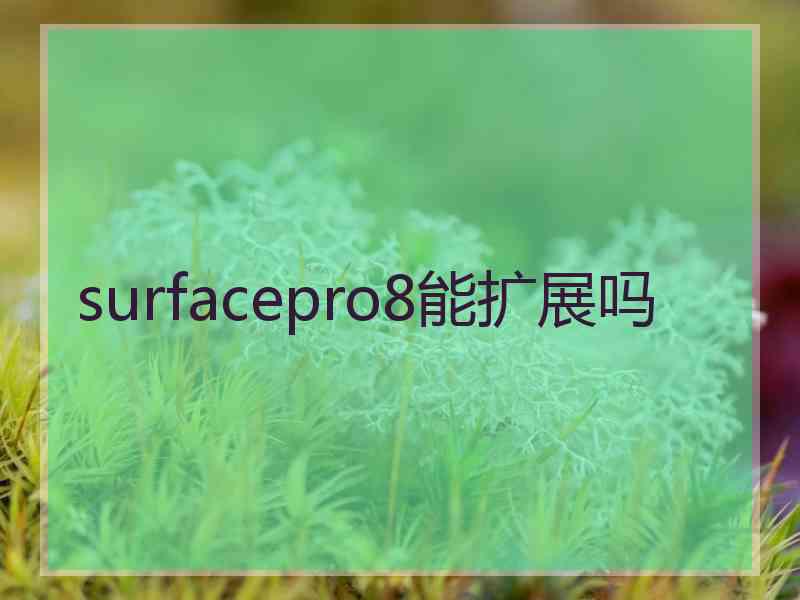 surfacepro8能扩展吗