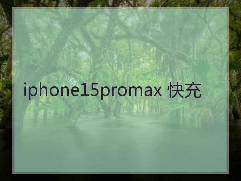 iphone15promax 快充