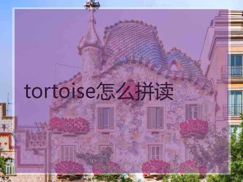 tortoise怎么拼读