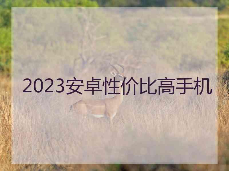 2023安卓性价比高手机