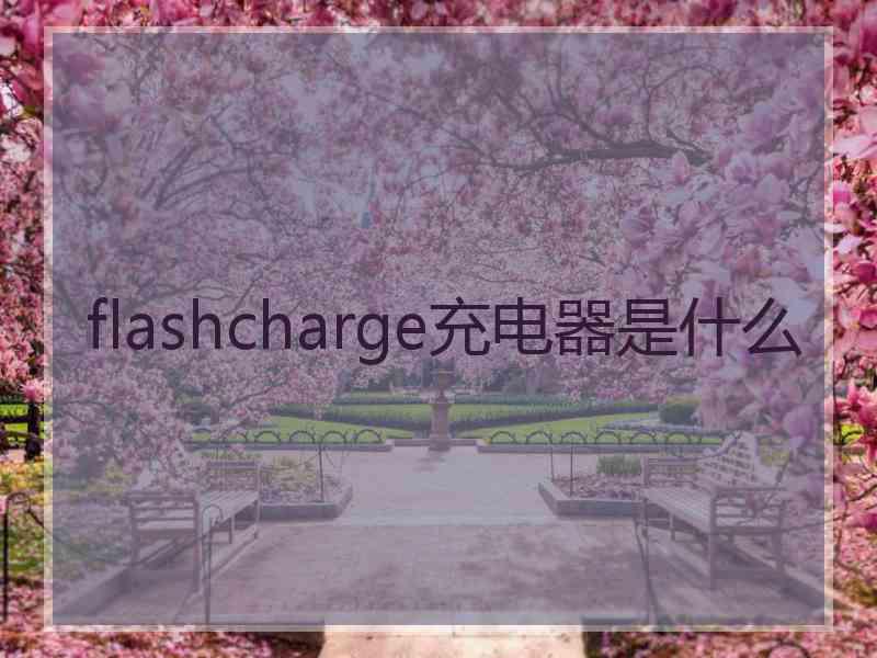 flashcharge充电器是什么