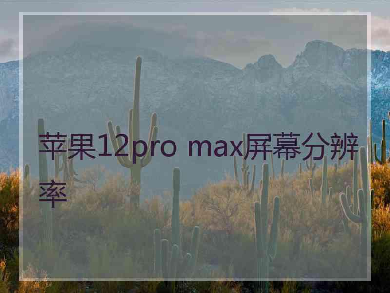 苹果12pro max屏幕分辨率