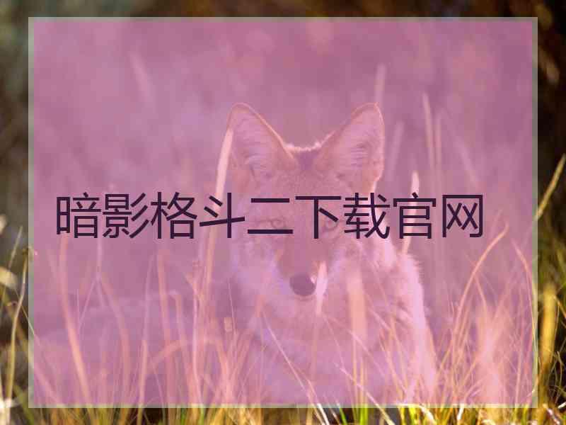 暗影格斗二下载官网