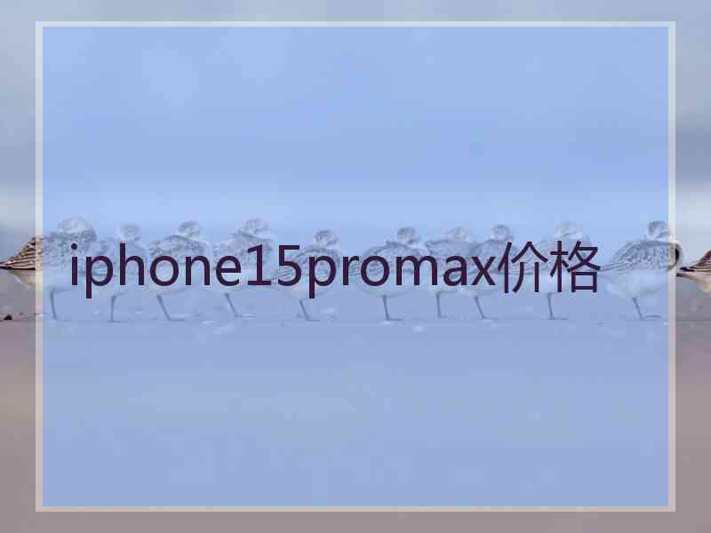 iphone15promax价格