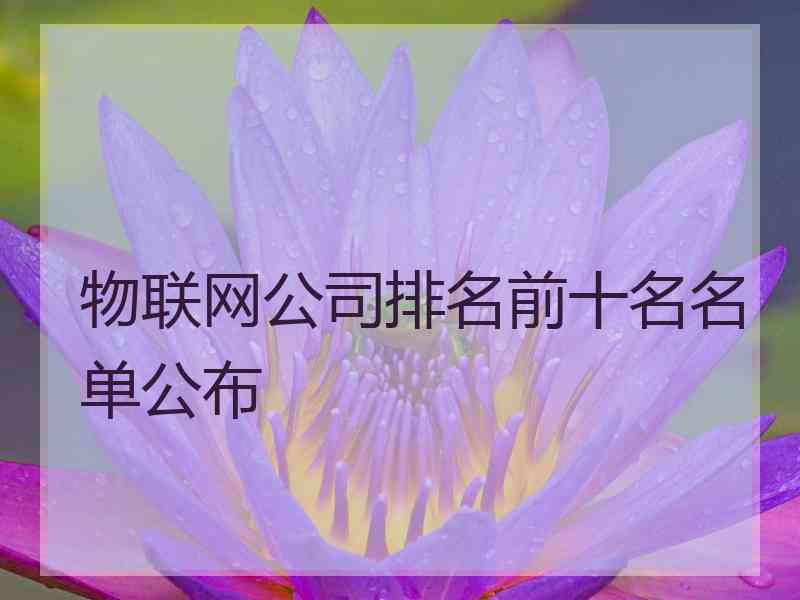 物联网公司排名前十名名单公布