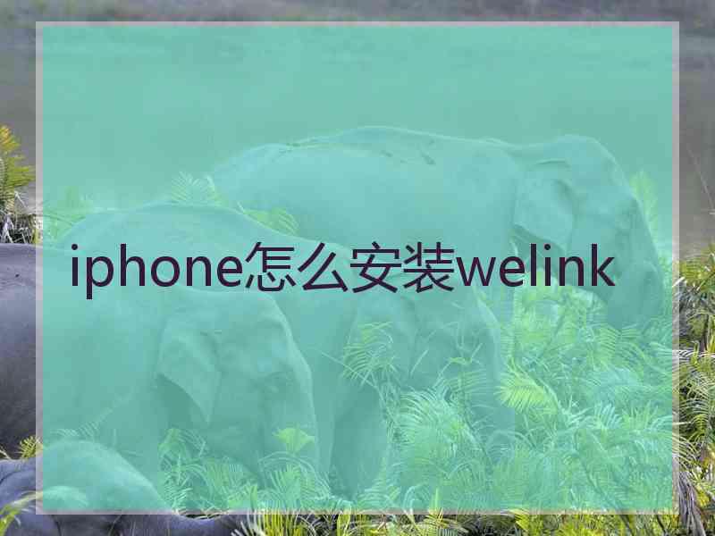 iphone怎么安装welink