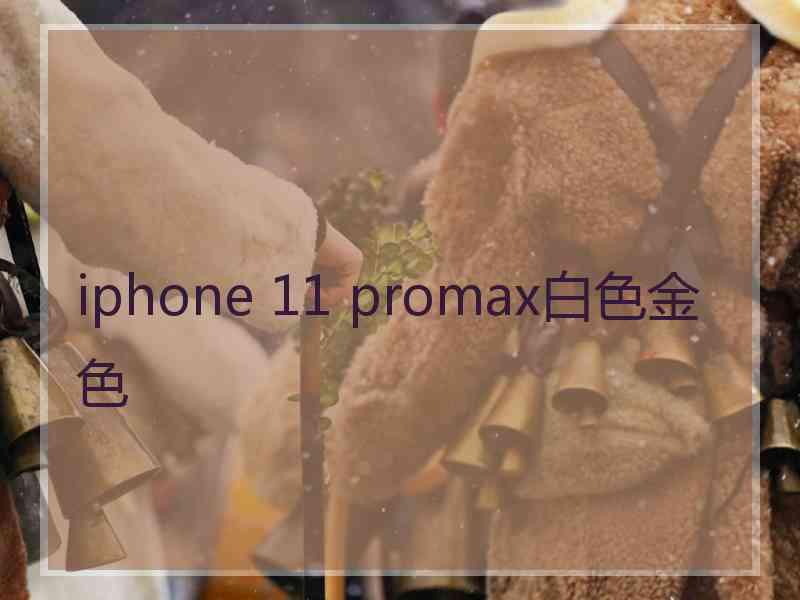 iphone 11 promax白色金色