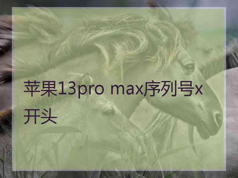 苹果13pro max序列号x开头