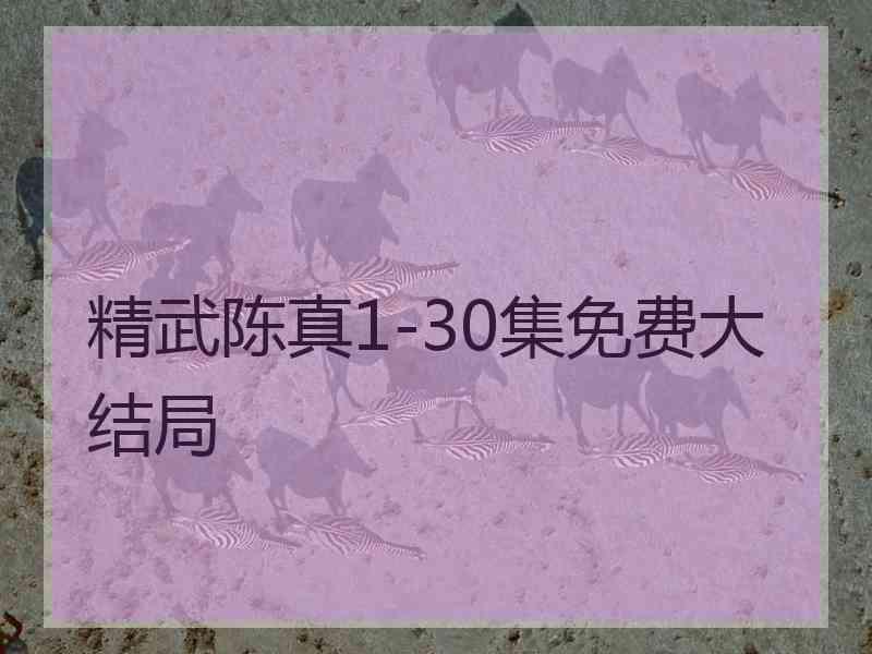 精武陈真1-30集免费大结局