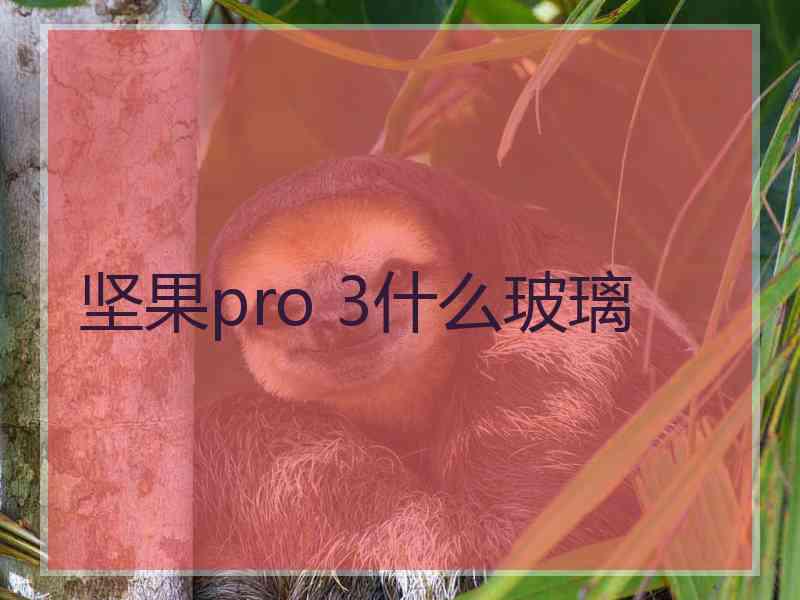 坚果pro 3什么玻璃