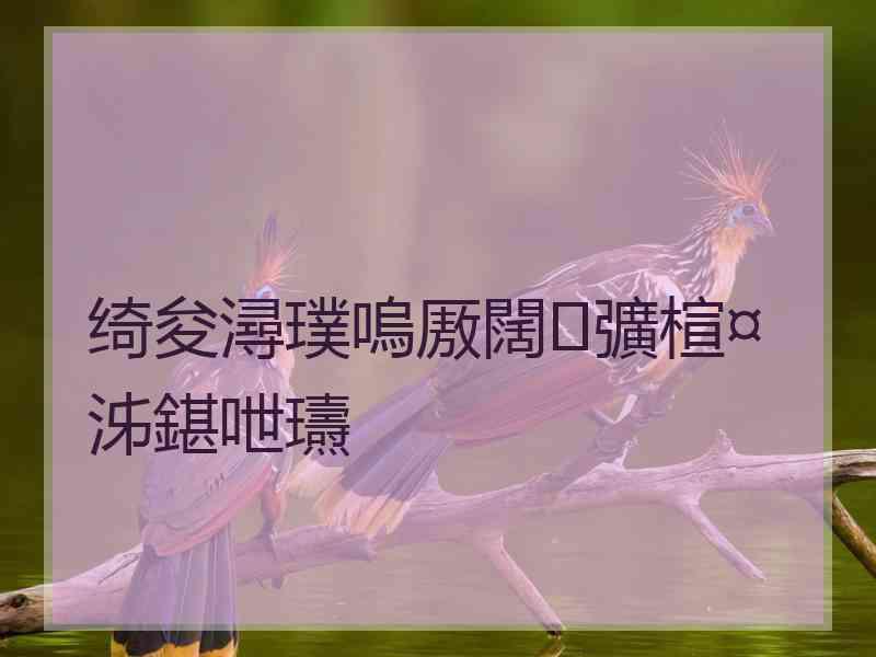 绮夋潯璞嗚厫闊彍楦¤泲鍖呭瓙