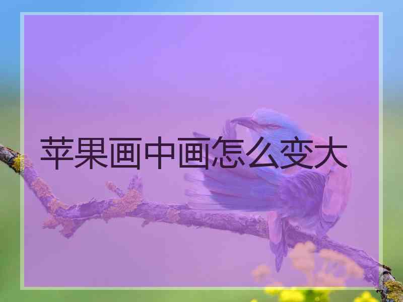 苹果画中画怎么变大