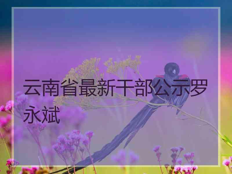 云南省最新干部公示罗永斌