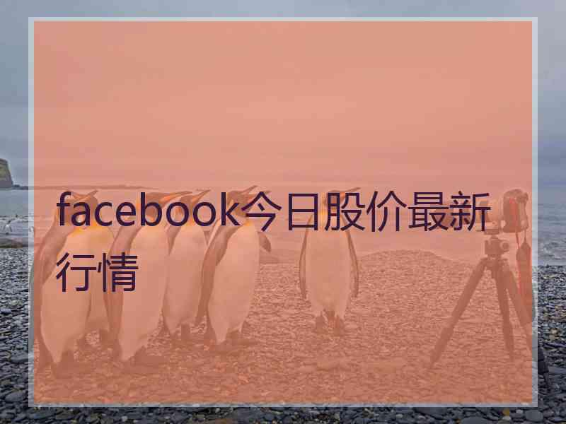 facebook今日股价最新行情