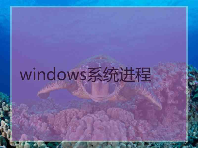 windows系统进程