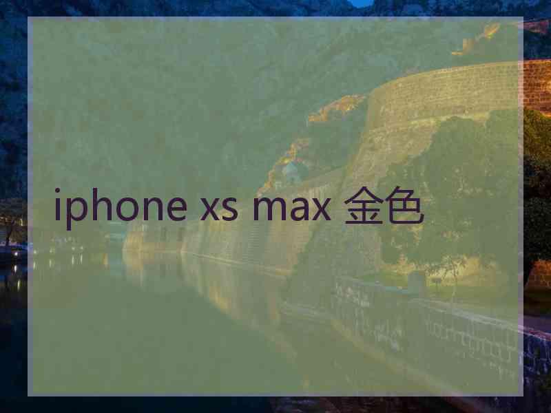 iphone xs max 金色