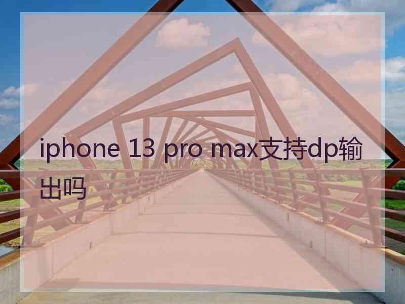 iphone 13 pro max支持dp输出吗