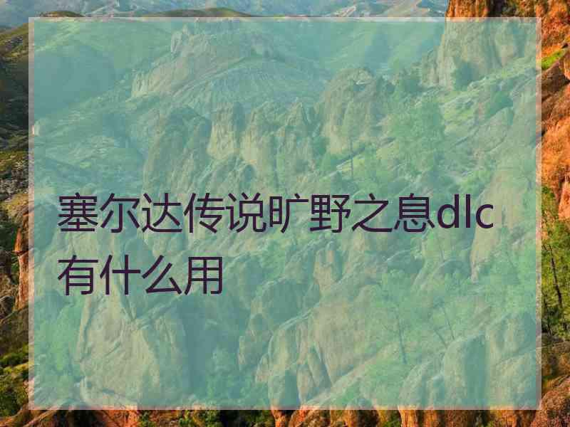 塞尔达传说旷野之息dlc有什么用