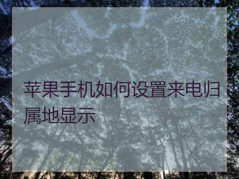 苹果手机如何设置来电归属地显示