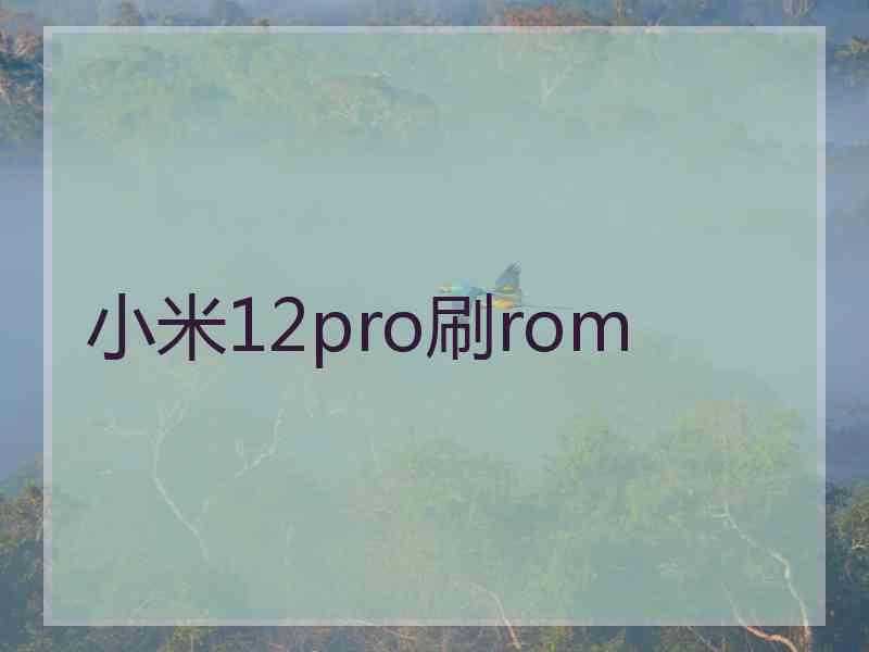 小米12pro刷rom