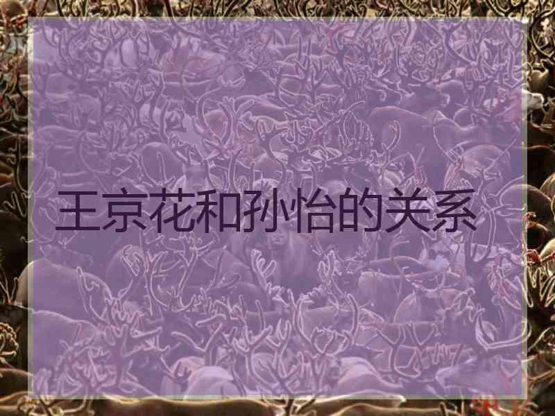 王京花和孙怡的关系