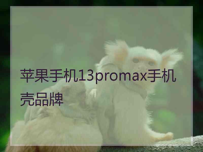 苹果手机13promax手机壳品牌