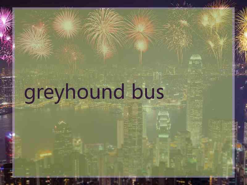 greyhound bus