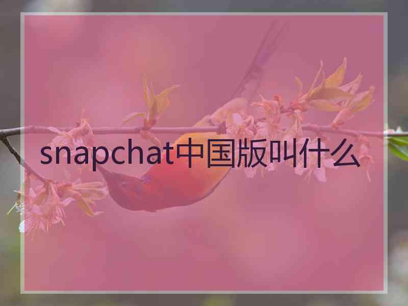 snapchat中国版叫什么