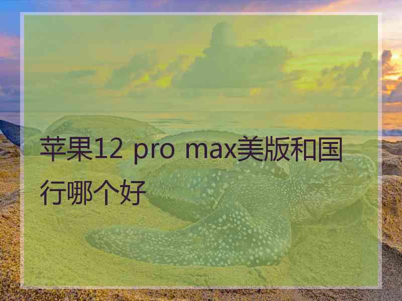 苹果12 pro max美版和国行哪个好